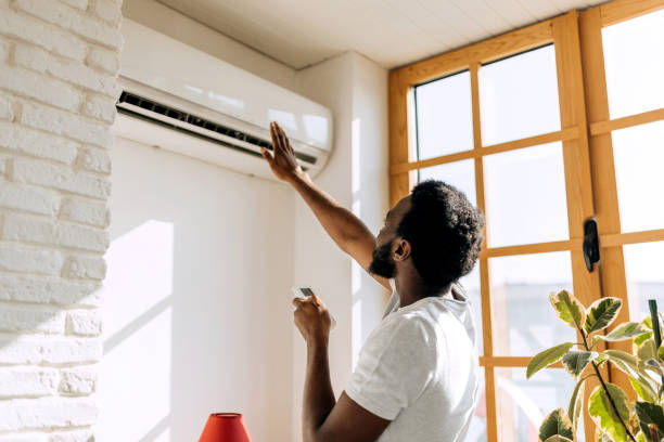 Best Best HVAC Companies  in Pho, IL